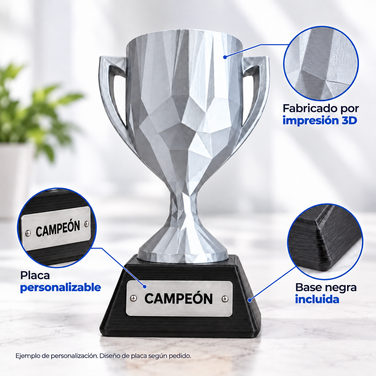 02_Personalizacion_Copa_Plateada_Personalizada.png